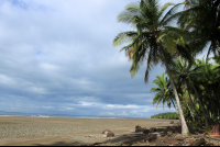 ballena national marine park uvita beach 
 - Costa Rica