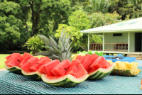 Watermelon San Pedrillo Ranger Station Corcovado National Park
 - Costa Rica