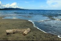        playa negra puerto viejo driftwood 
  - Costa Rica