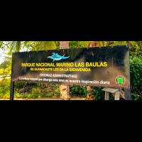 las baulas marine park
 - Costa Rica