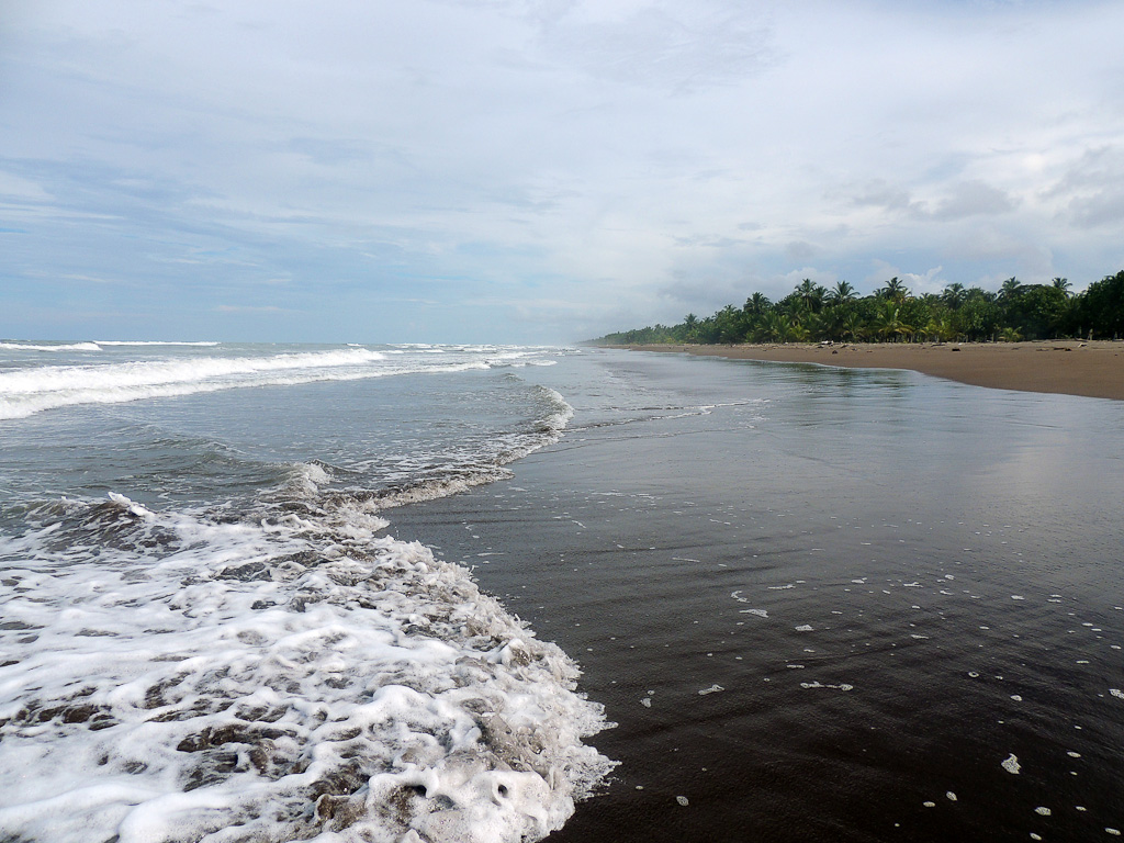 how conservation saved tortuguero blog beach 
 - Costa Rica