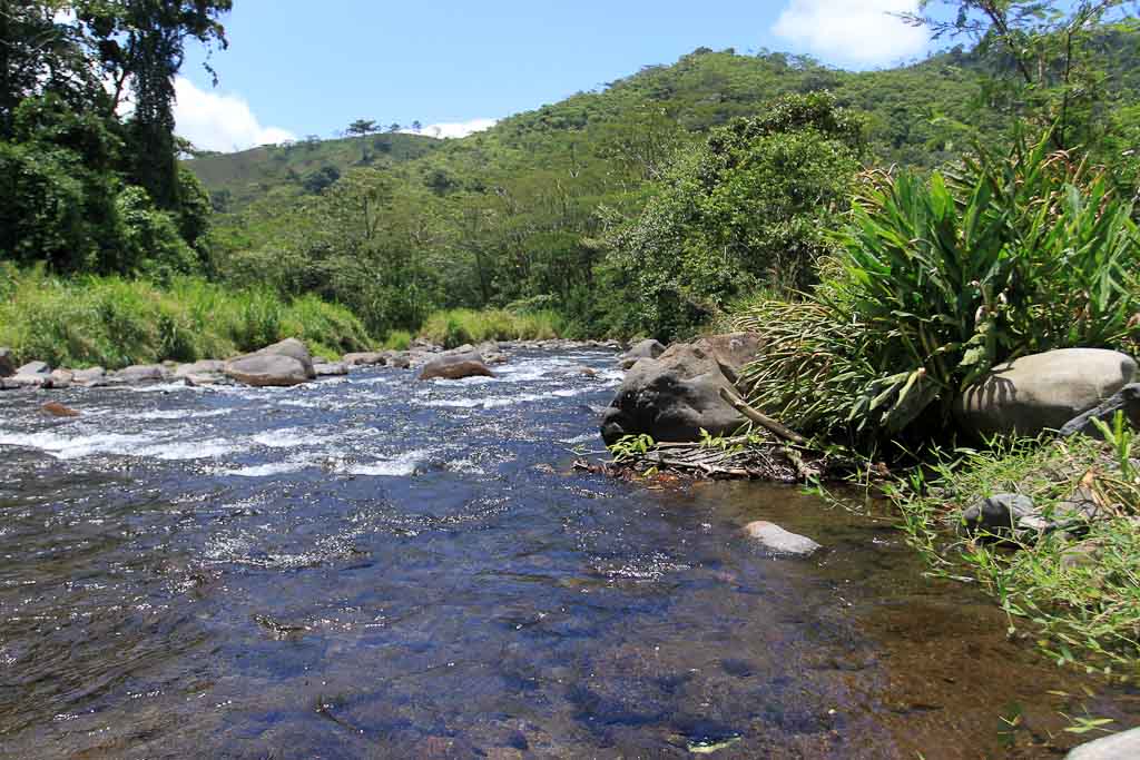 rancho margot cano negro river 
 - Costa Rica