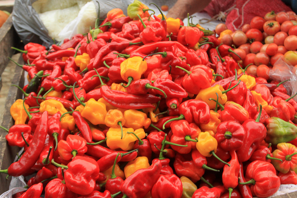        eating cheap peppers 
  - Costa Rica