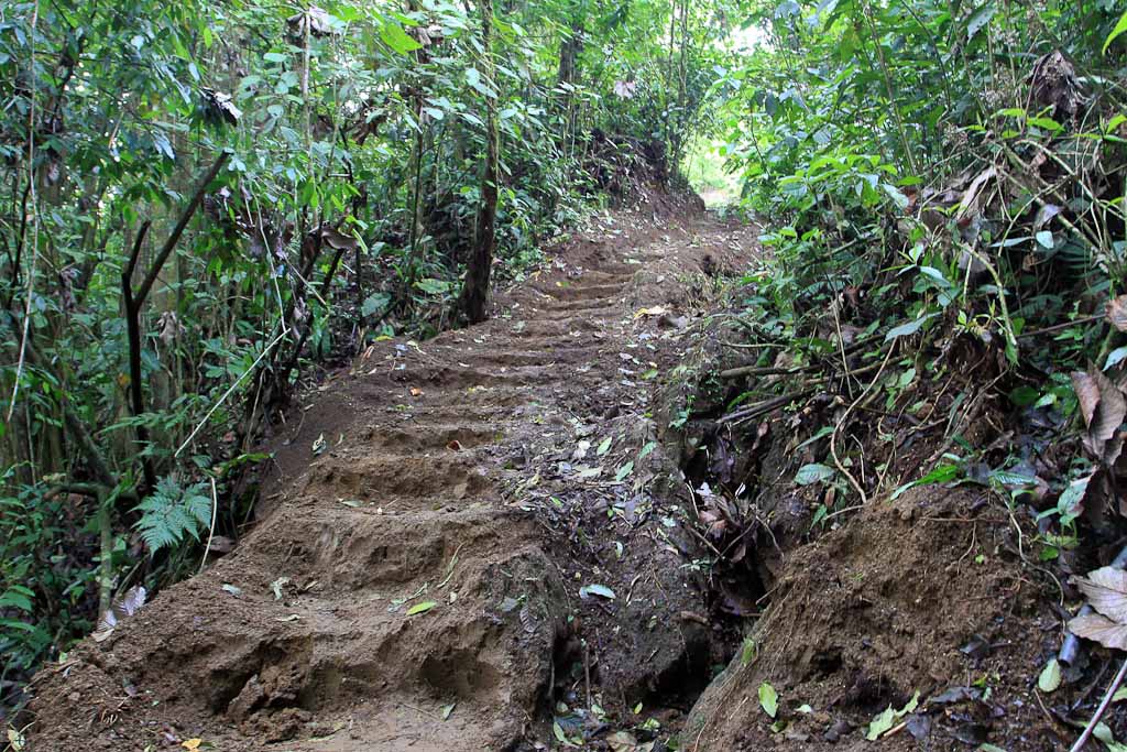 carlos lodge trail steps 
 - Costa Rica