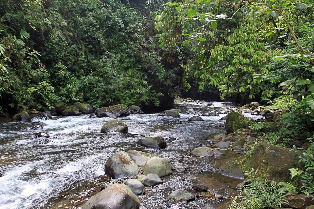 carlos lodge arenal river 
 - Costa Rica
