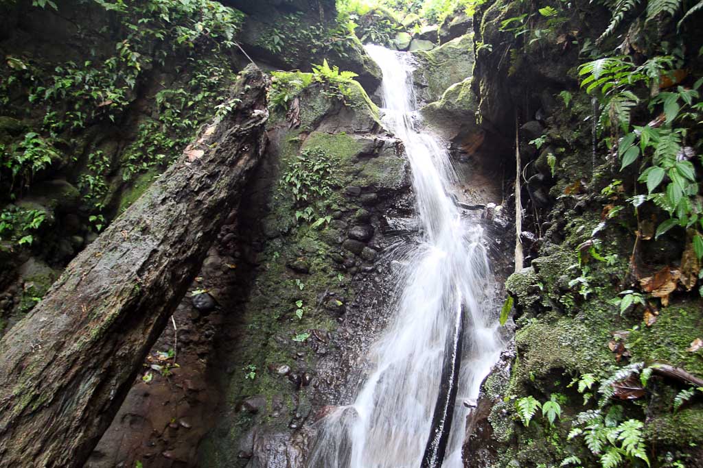 carlos lodge cascade 
 - Costa Rica