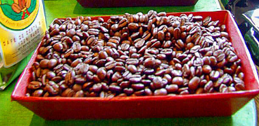 Coffee Culture in Costa Rica - Costa Rica